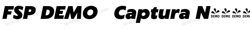 FSP DEMO   Captura N字体转换